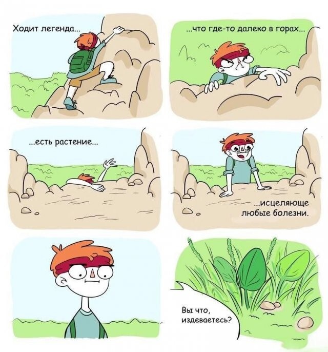 Скрины из соцсетей