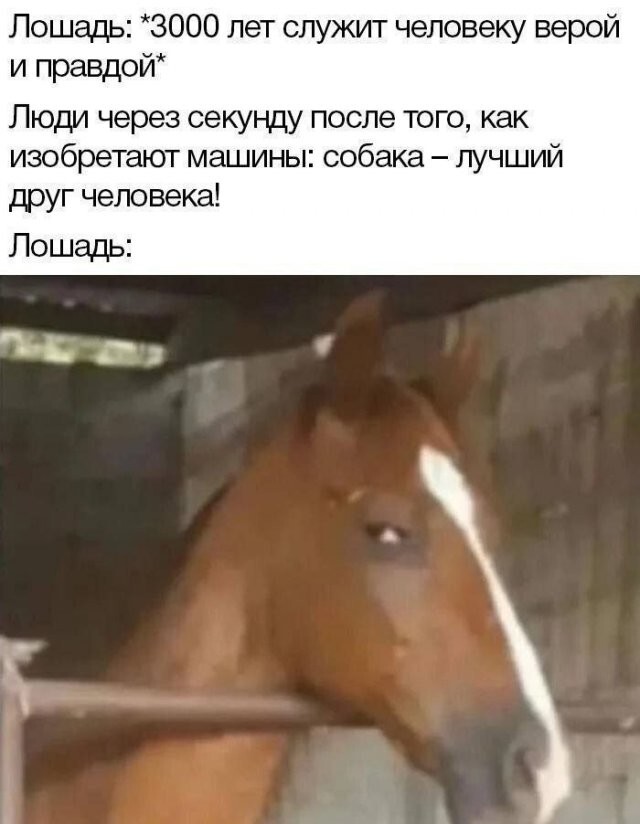 Скрины из соцсетей