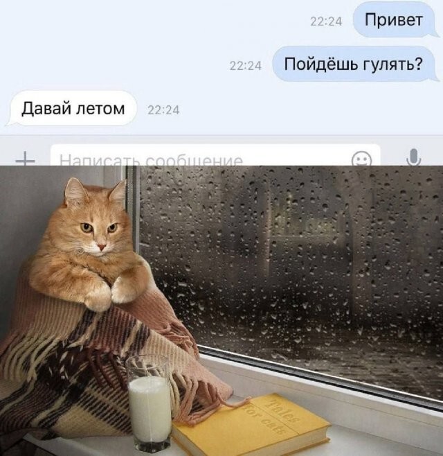 Скрины из соцсетей
