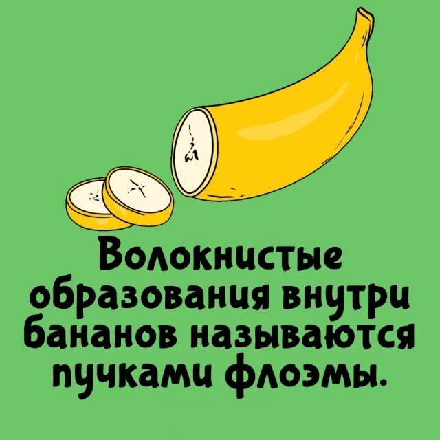 А вдруг ты не знал…