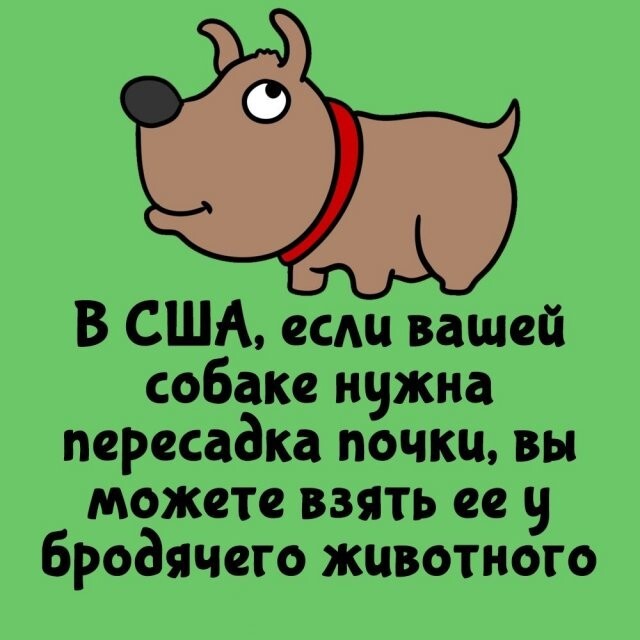 А вдруг ты не знал…