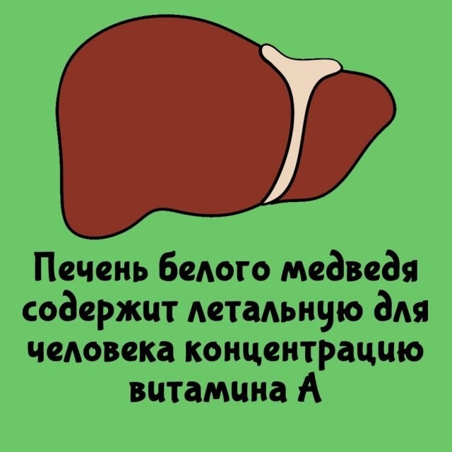 А вдруг ты не знал…