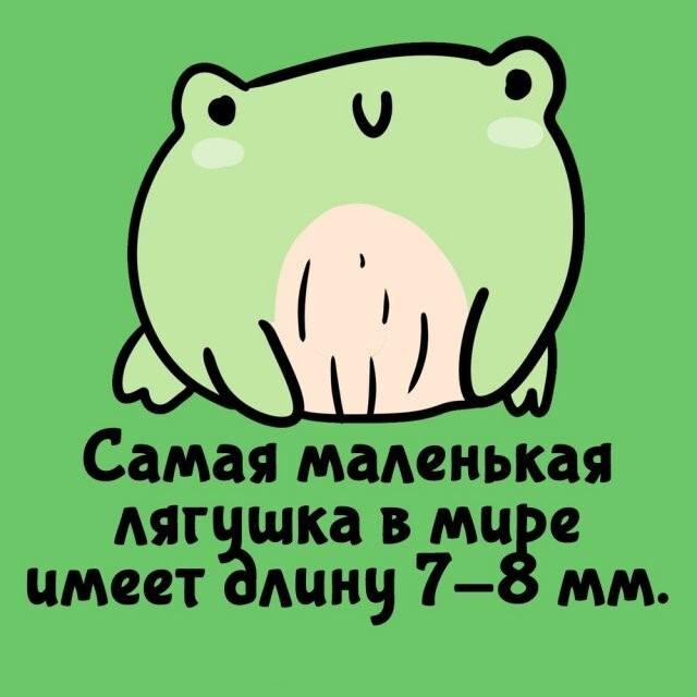 А вдруг ты не знал…