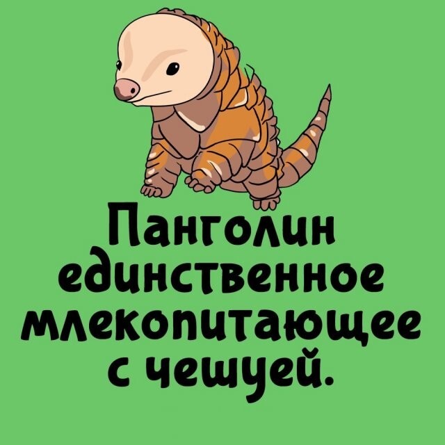 А вдруг ты не знал…