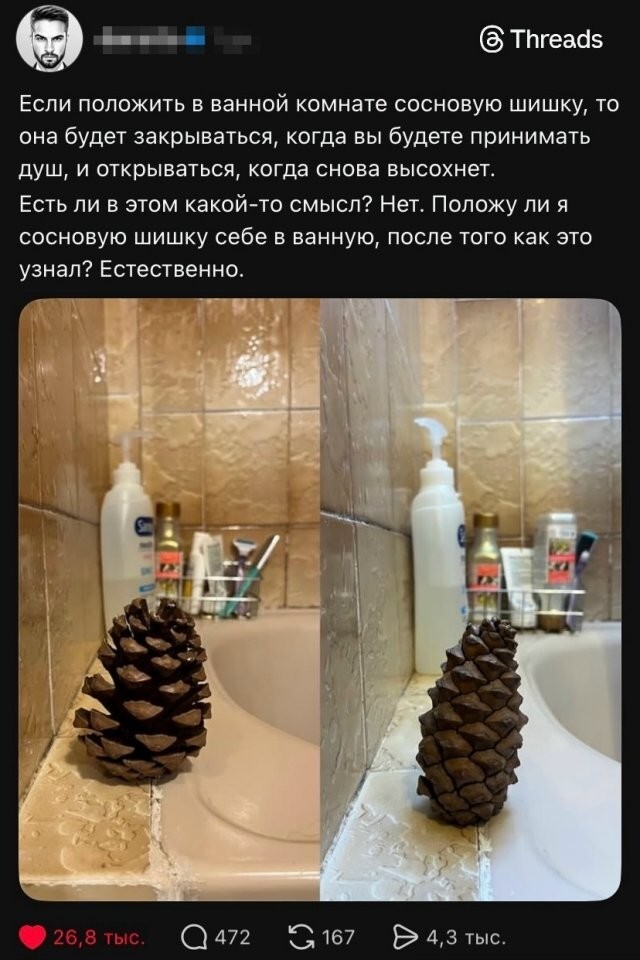 &nbsp;Намешалось&nbsp;