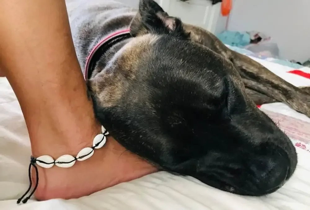 14. С возвращением