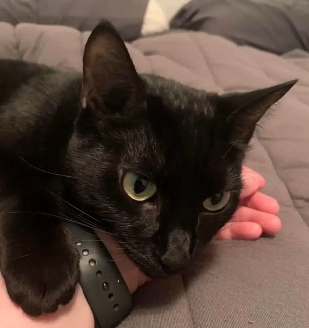 4. Знаешь, я скучала, хотя и стараюсь этого не показывать