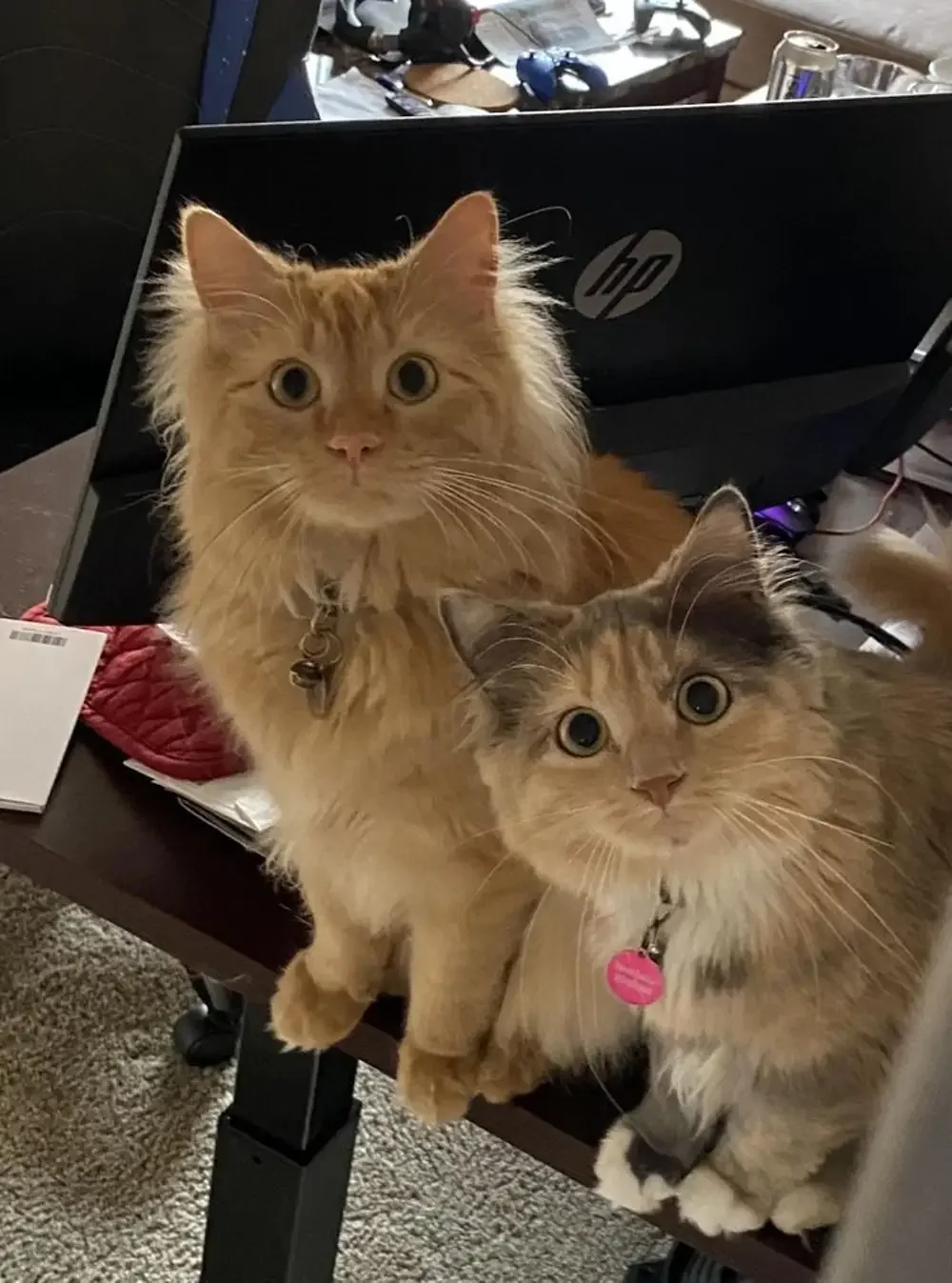 19. Слава Богу, ты пришёл!