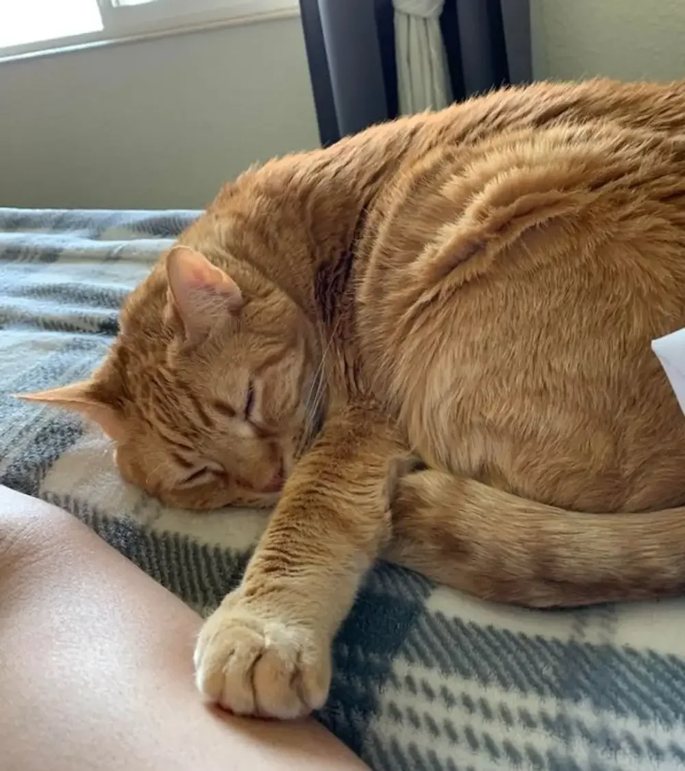 13. Я рядом, помни об этом