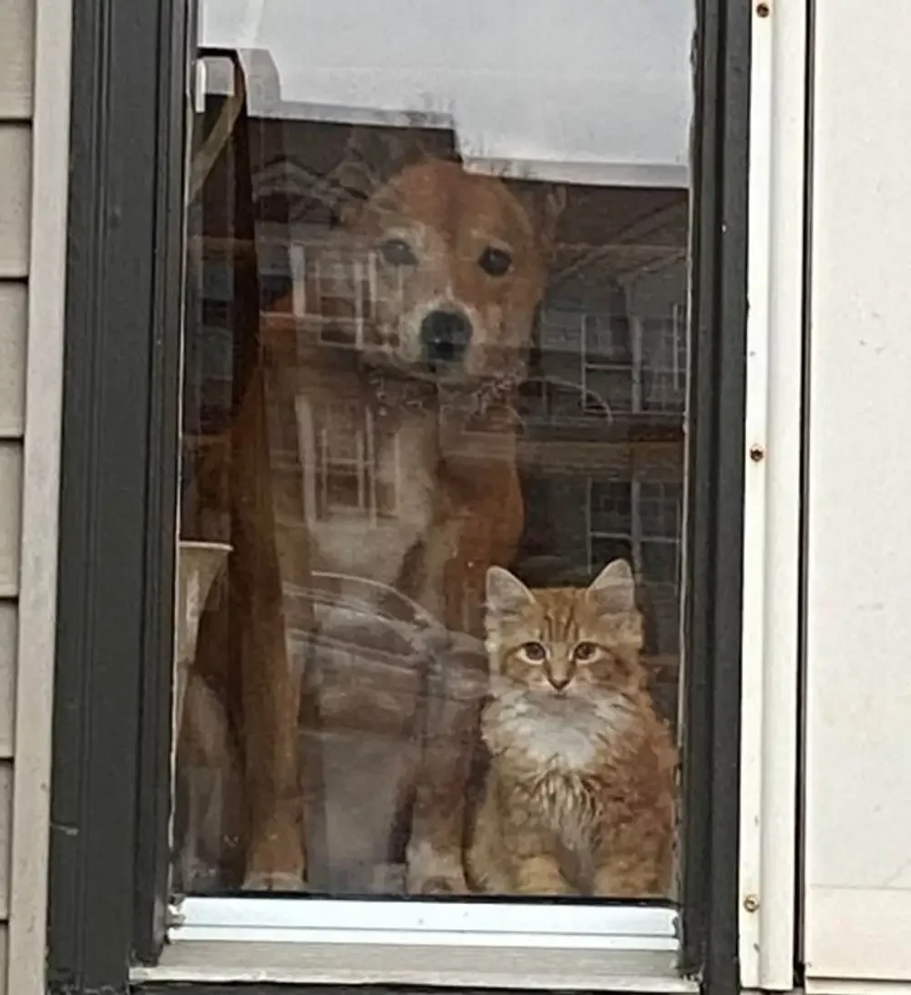 2. Думаешь, мы не успеем соскучиться?