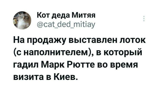 Вслед за унитазом А. Джоли