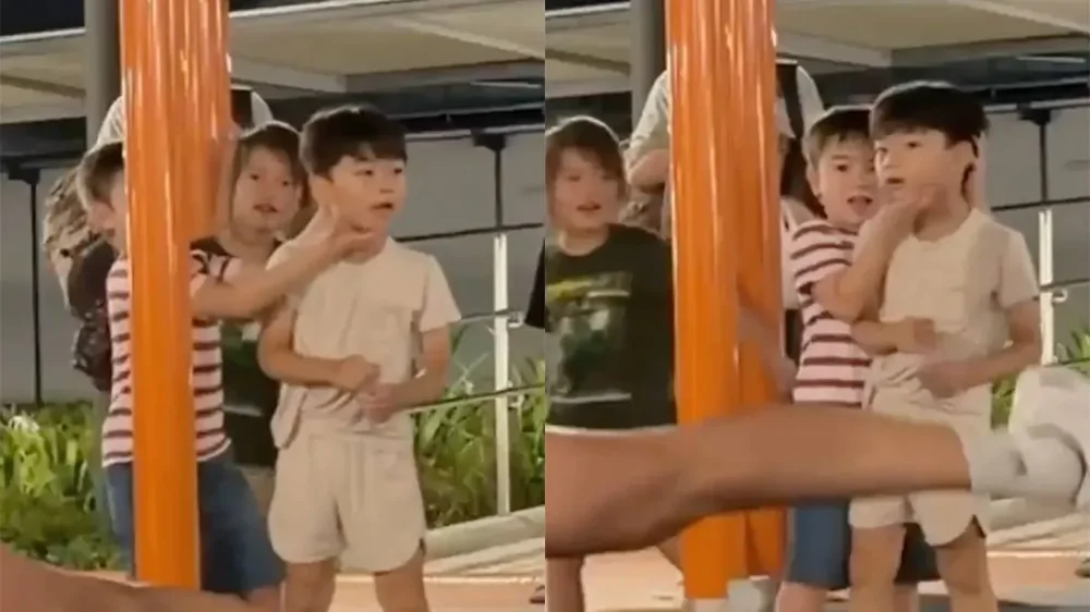 Самый внимательный зритель на детской площадке