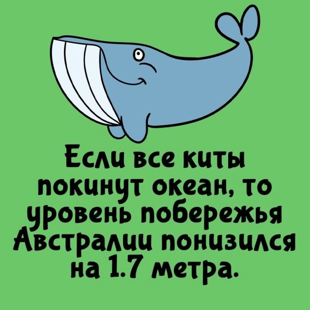 А вдруг ты не знал…