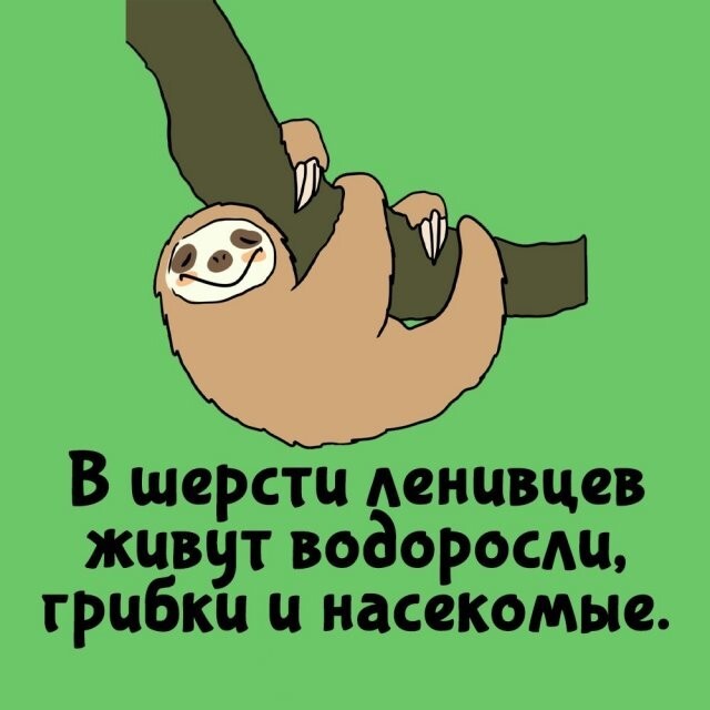 А вдруг ты не знал…