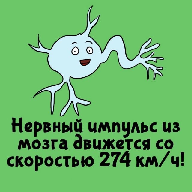 А вдруг ты не знал…