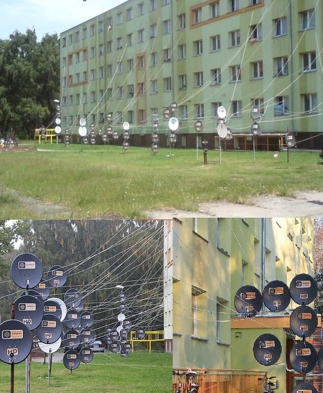 Намешалось