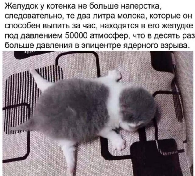 Намешалось