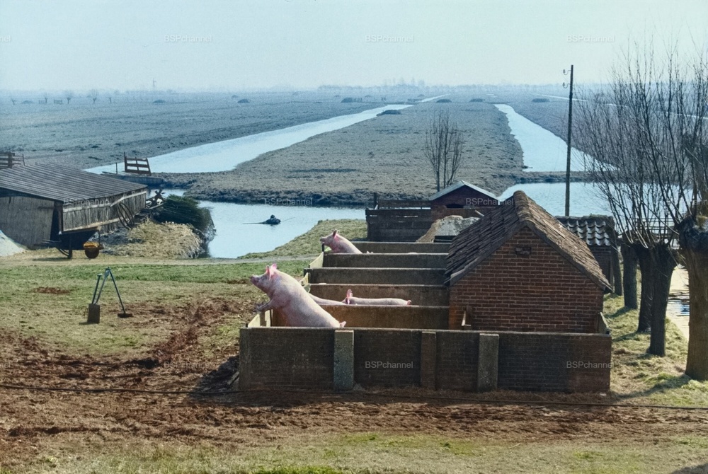 Интересные и редкие ретро-фотографии⁠⁠ Европы