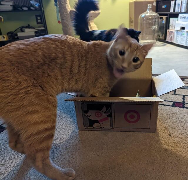 Взгляд, который говорит сам за себя