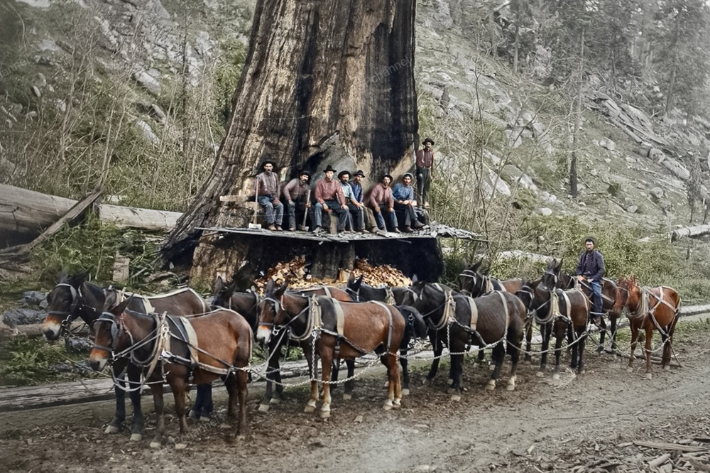 Подборка интересных и необычных фотографий из США