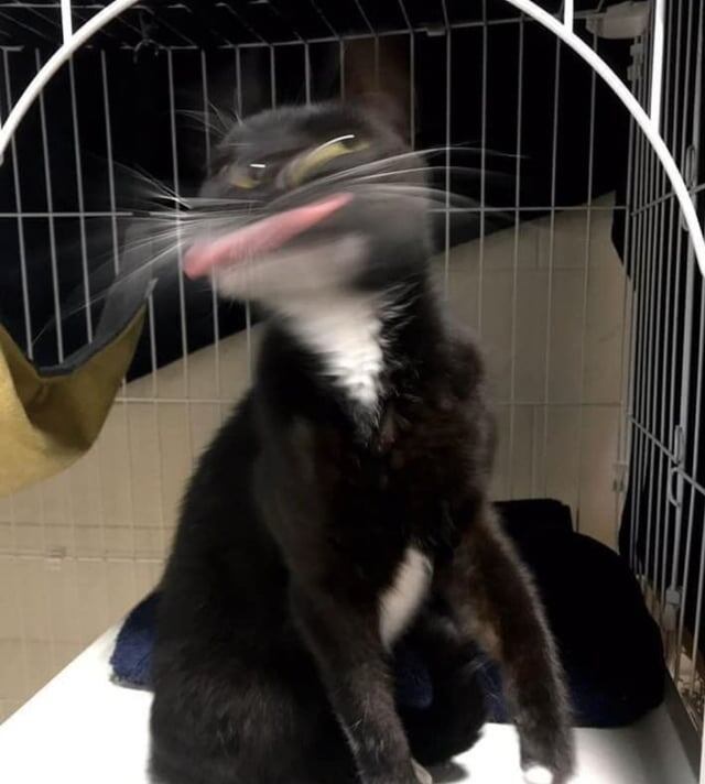 И зачем люди только пользуются этими масками в соцсетях? Ведь всё можно устроить самому