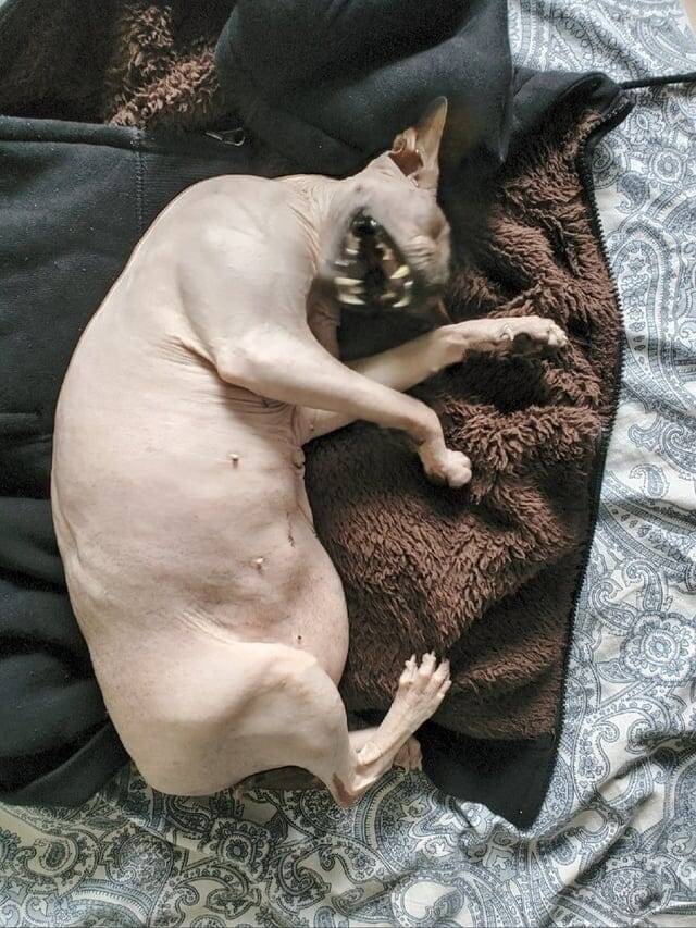 Будьте здоровы!