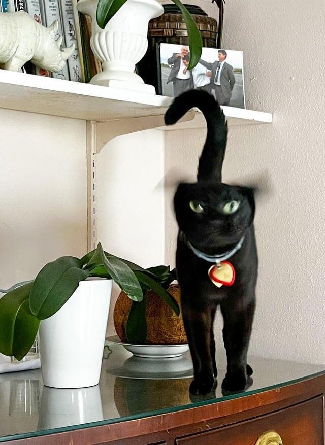 Пристегните ремни, взлееетаем