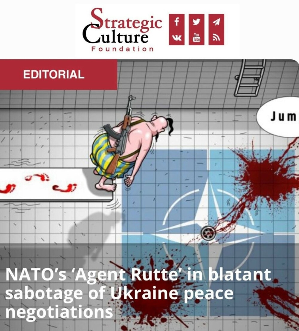 Генсек НАТО Рютте делает все, чтобы помешать миру на Украине