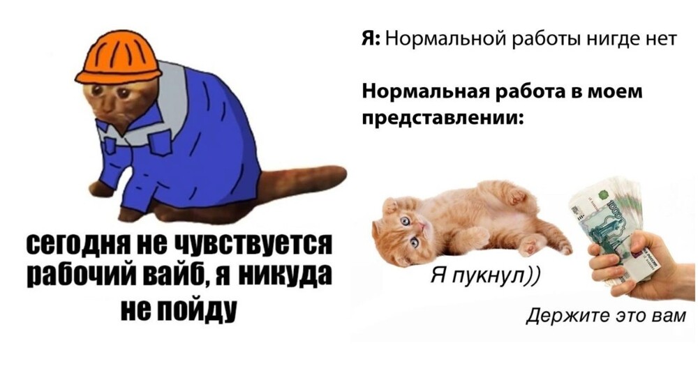 Зумеры оказались глупее и ленивее миллениалов