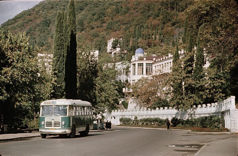 Автобус ЗиЛ-158 на проспекте Нартаа в абхазской Гагре. 1960 год.