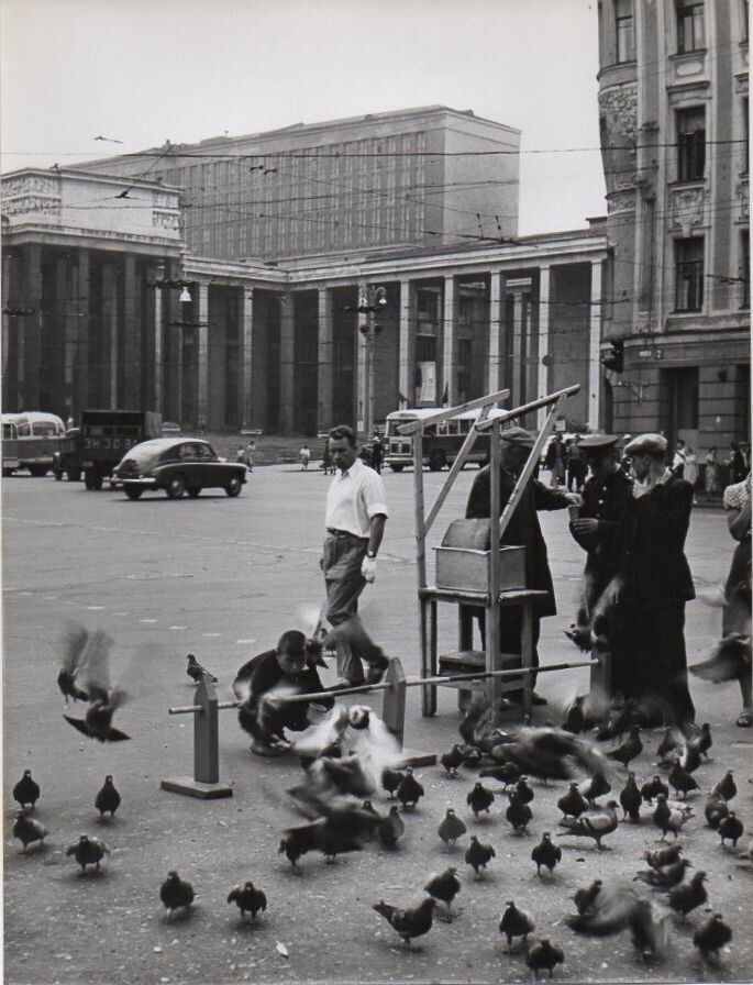 Продажа голубиного корма в Тверском районе Москвы.