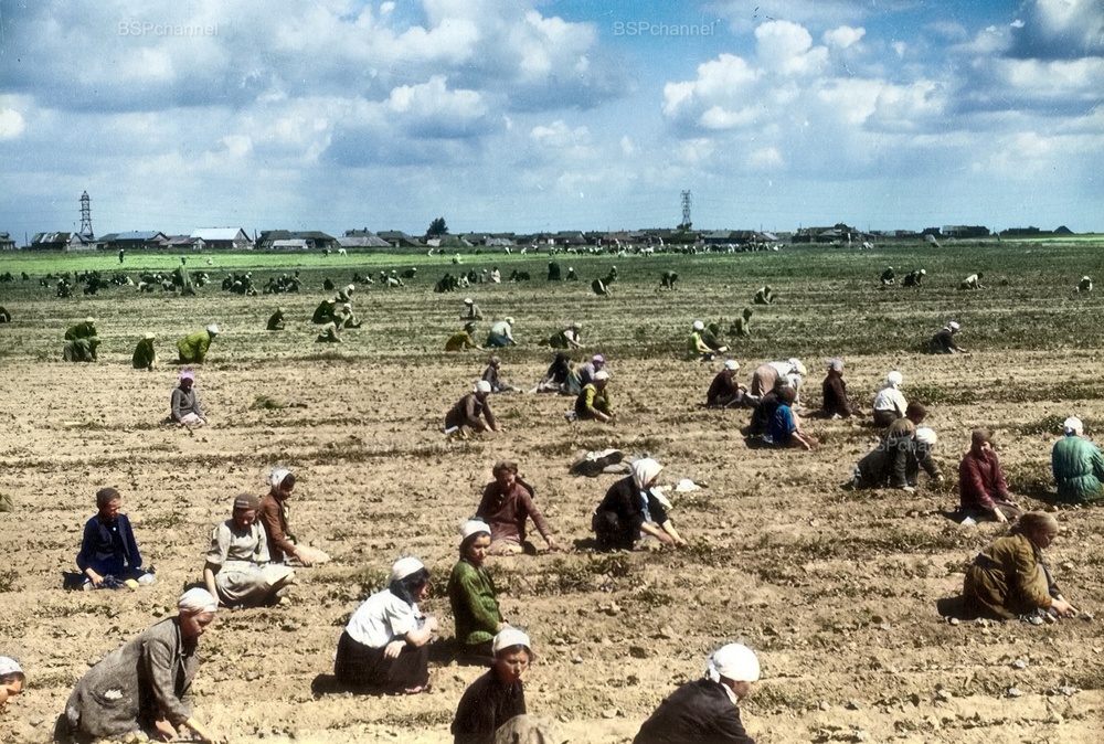 Фронт и тыл Великой Отечественной Войны на снимках