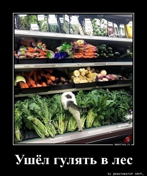 Ушёл гулять в лес