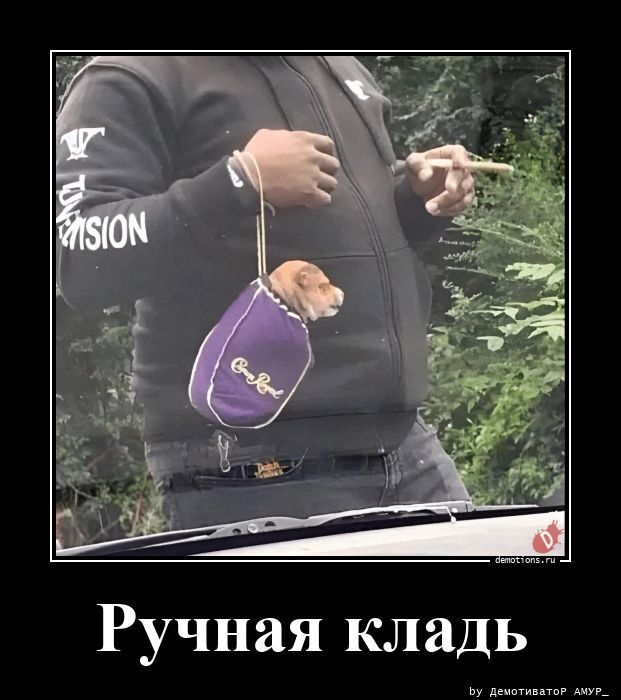 Ручная кладь
