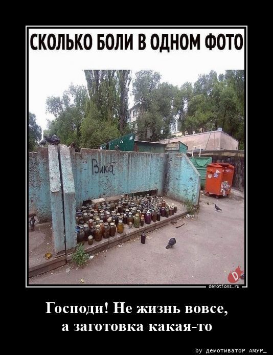 Господи! Не жизнь вовсе, а заготовка какая-то