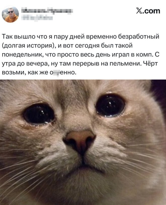 Смешные картинки