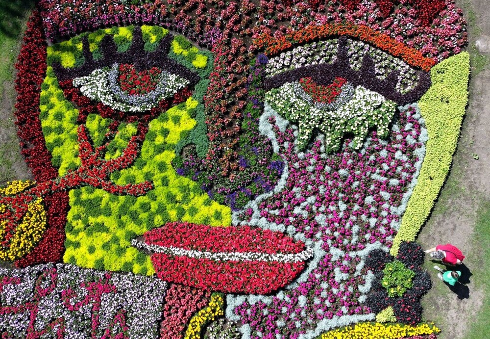 На общую тему&nbsp;