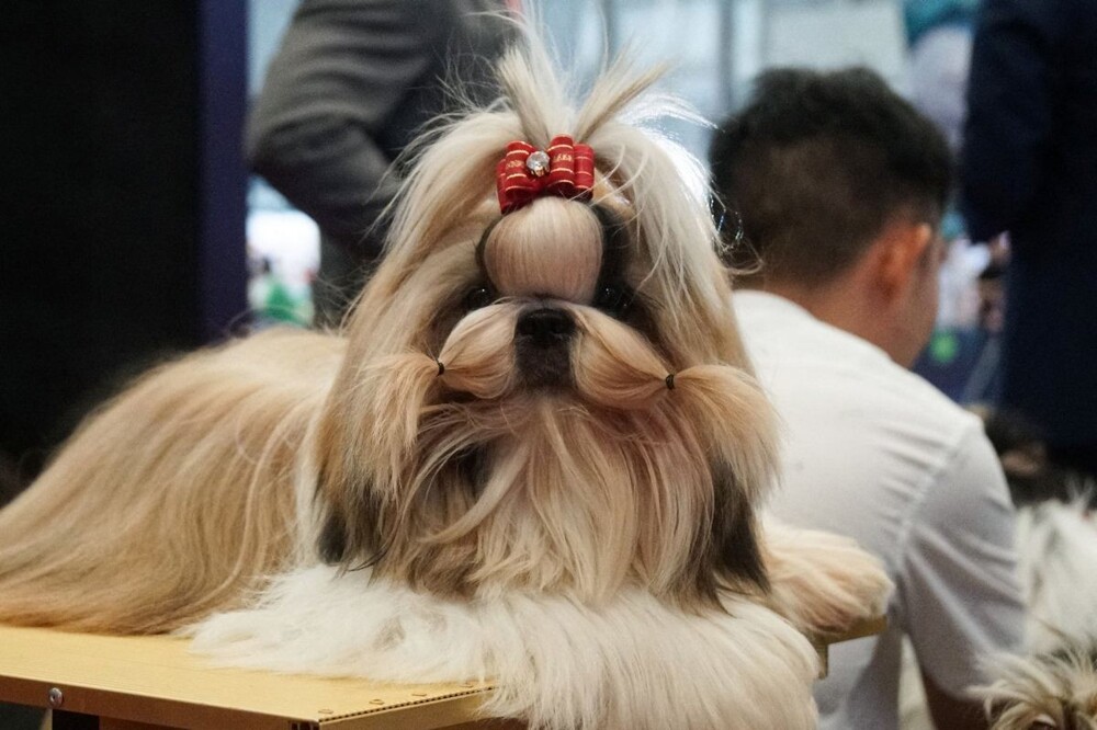 На общую тему&nbsp;