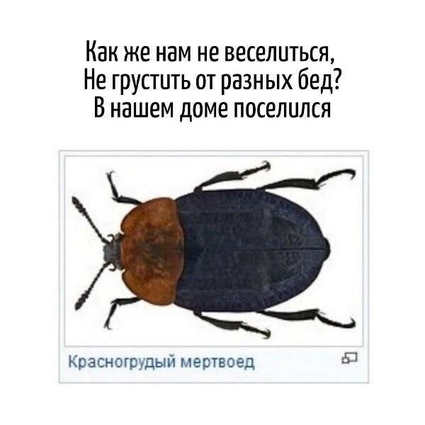Скрины из соцсетей
