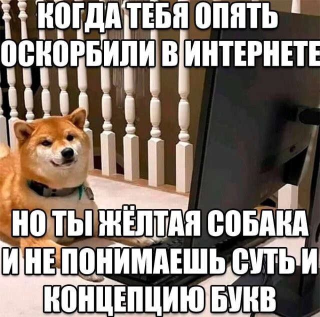 Скрины из соцсетей