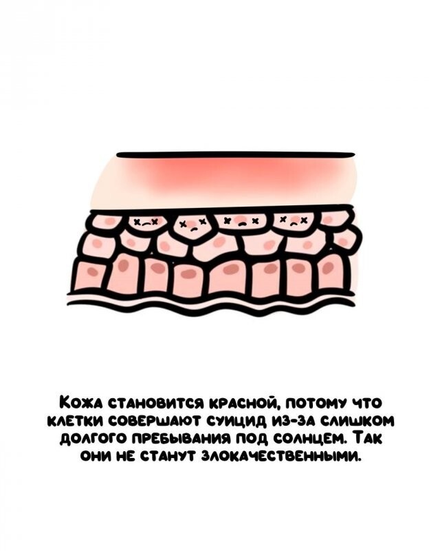 А вдруг ты не знал…