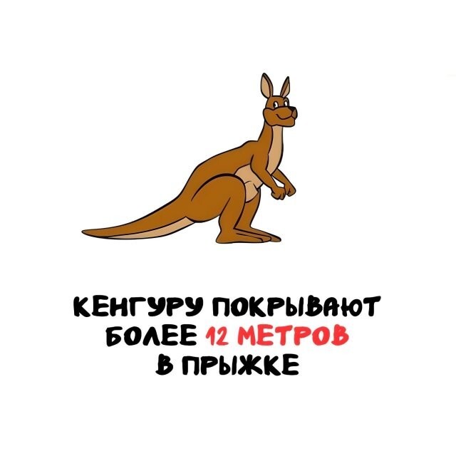 А вдруг ты не знал…