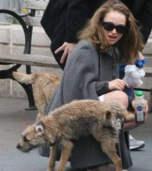 &nbsp;Намешалось&nbsp;