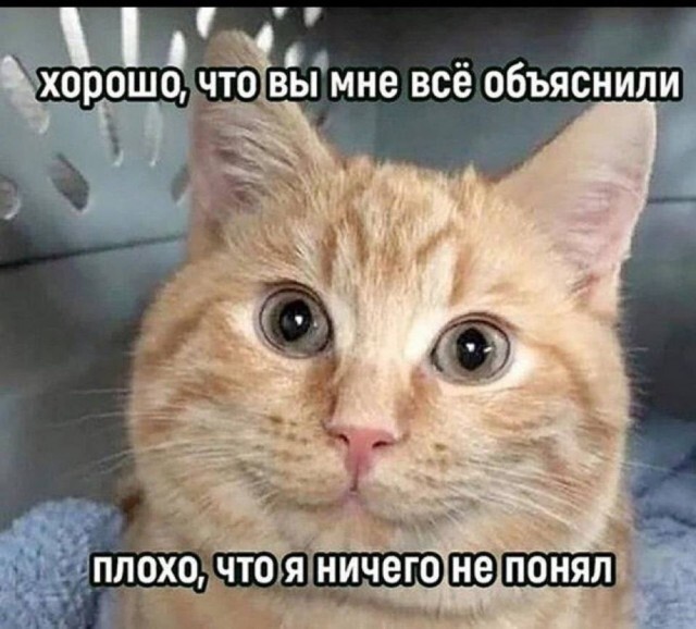 Не ищите здесь смысл. Здесь в основном маразм