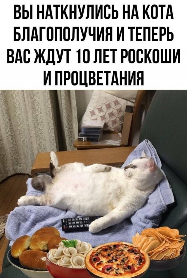 Не ищите здесь смысл. Здесь в основном маразм