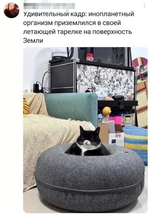 Не ищите здесь смысл. Здесь в основном маразм