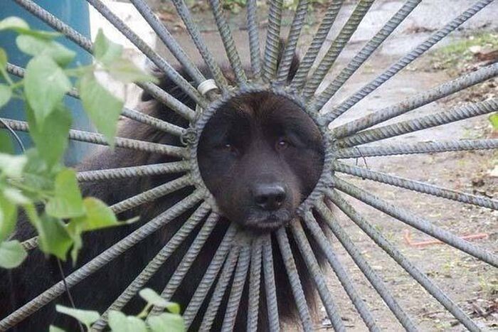 Эмоциональные фото-15