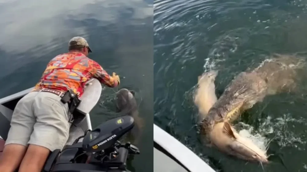 Рыбалка закончилась встречей с крокодилом