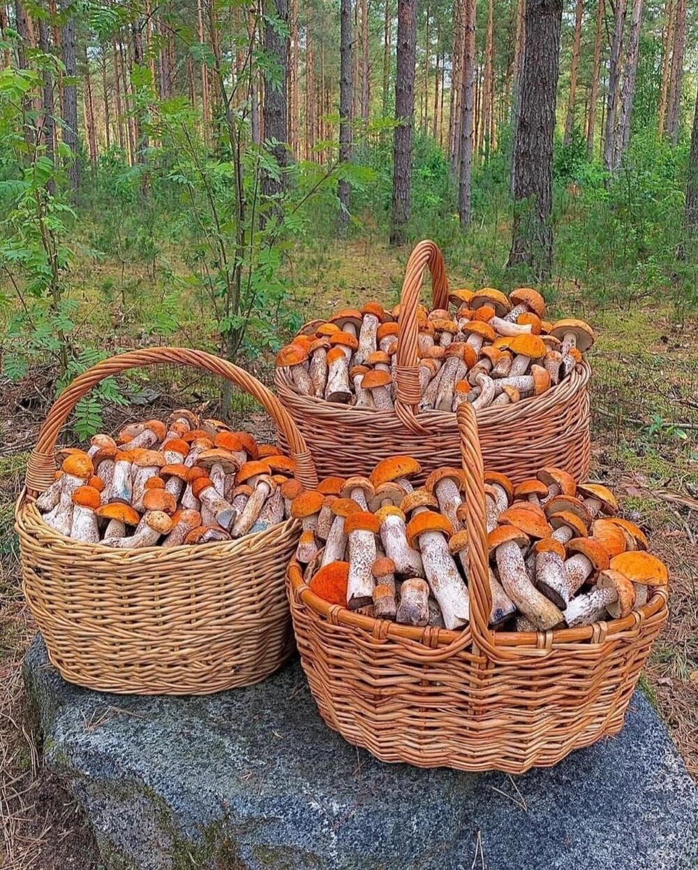 На общую тему&nbsp;
