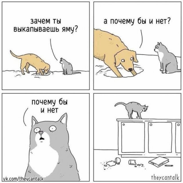 Скрины из соцсетей